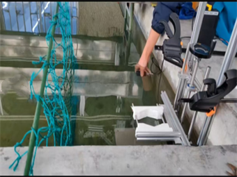 /zh/kehuanli/1097.html