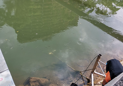 多普勒流量計(jì) 多普勒流量計(jì)